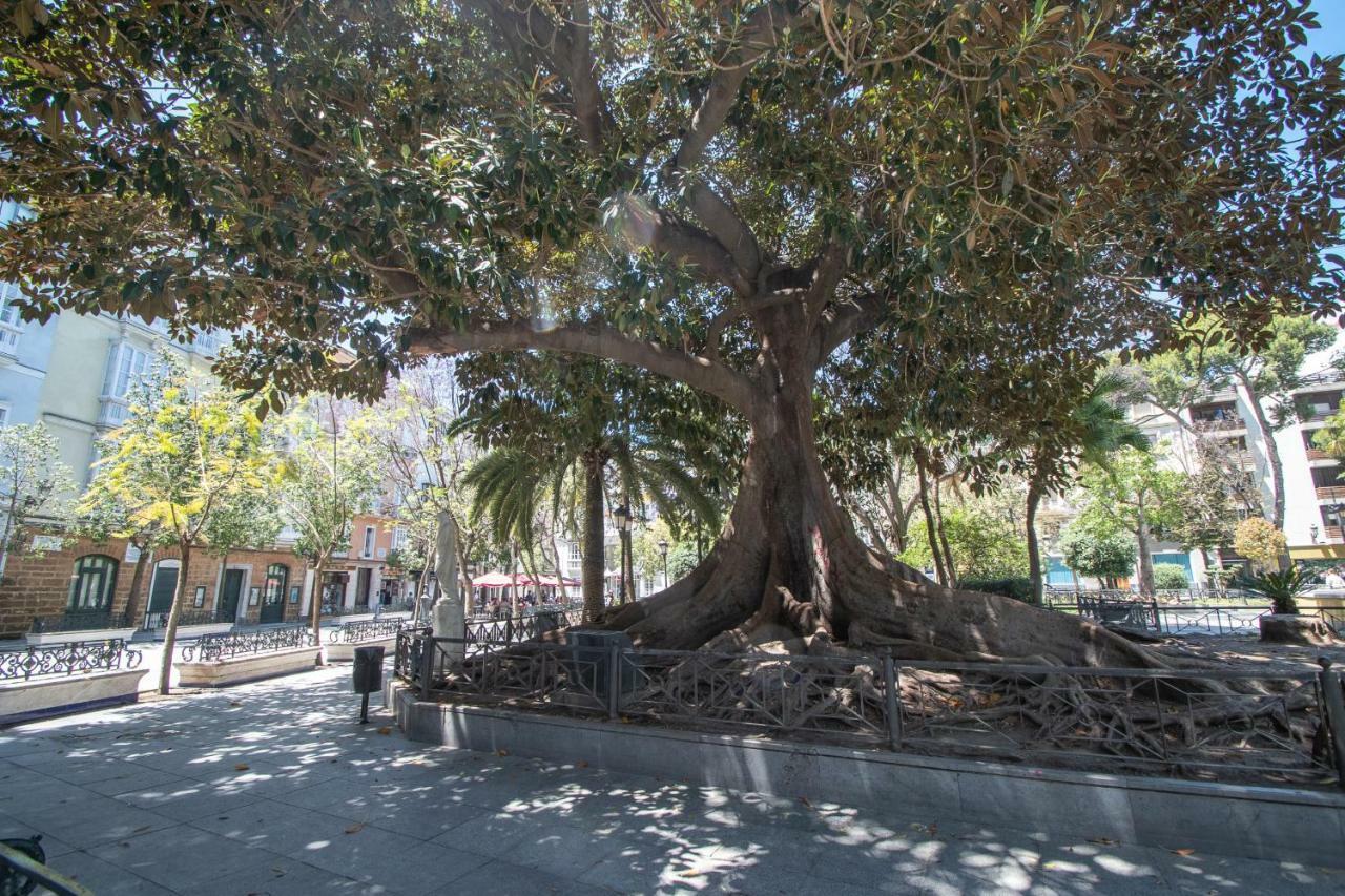 Apartamento Aires Mediterraneos Daire Cadiz Dış mekan fotoğraf